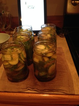 Adding Brine to Jars