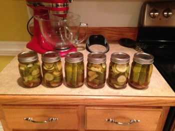 Finished Pickles