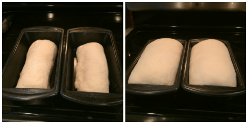 Loafs through second rise